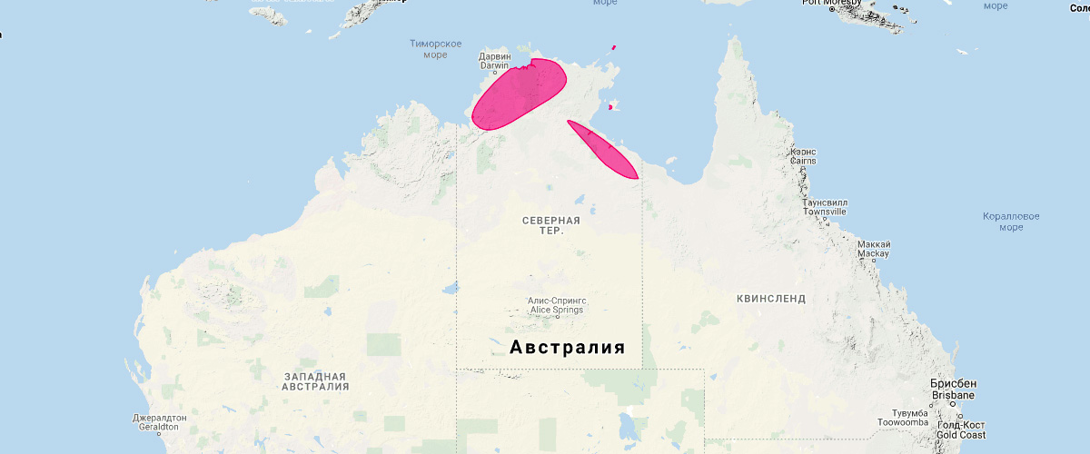 Песчаниковая сумчатая мышь (Pseudantechinus bilarni) Ареал обитания на карте