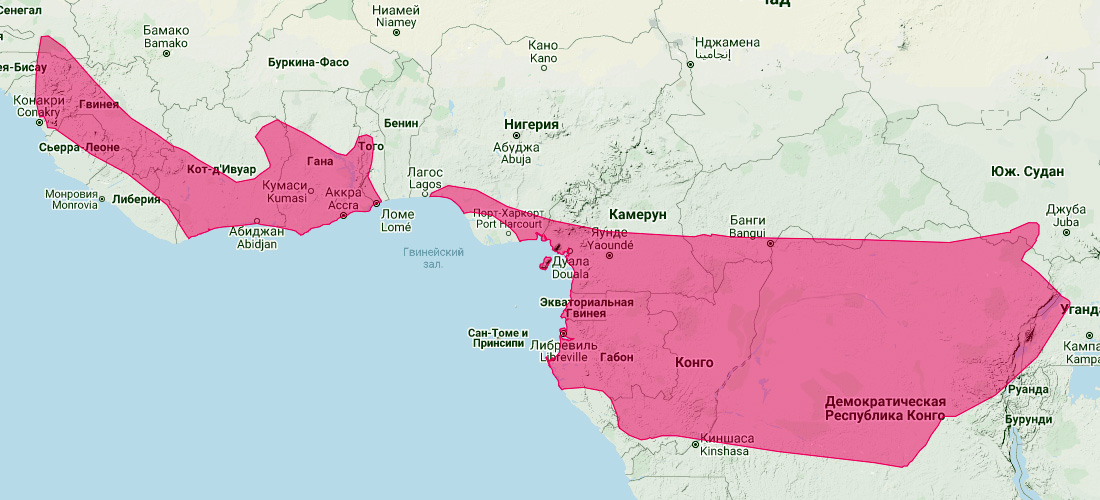 Ганский подковонос (Rhinolophus alcyone) Ареал обитания на карте