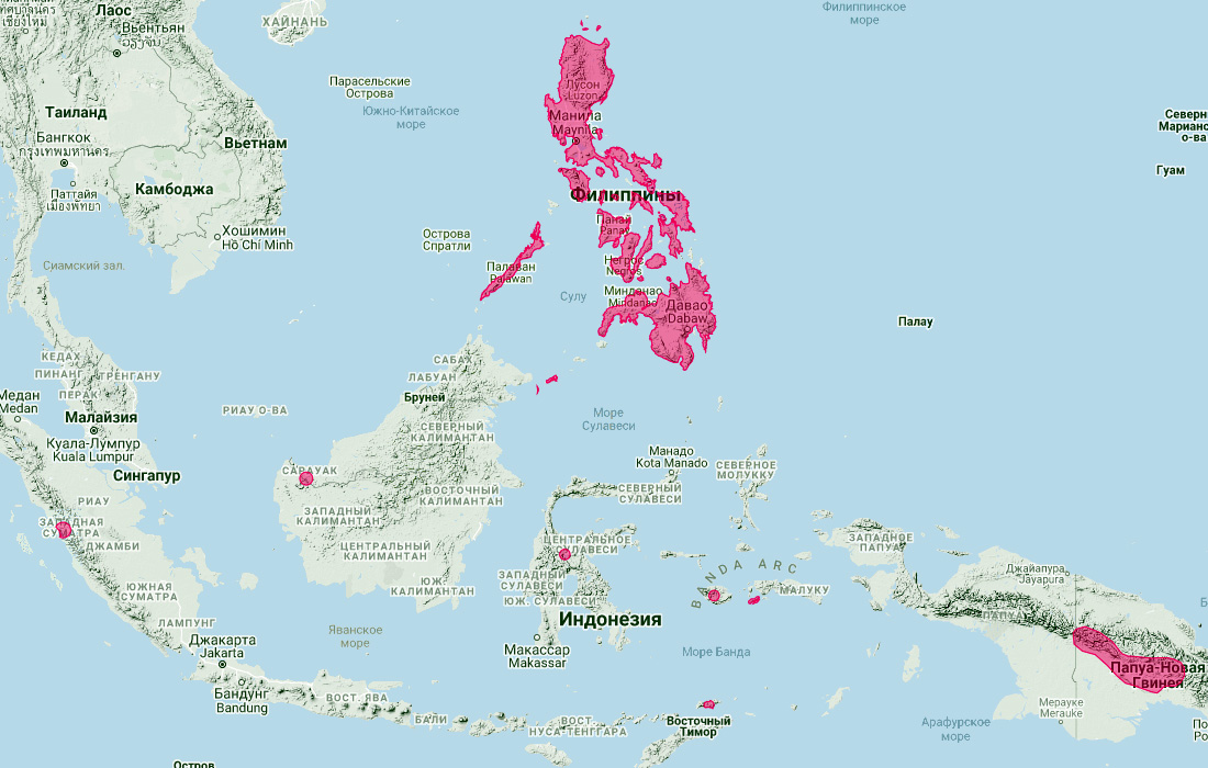 Лузонский подковонос (Rhinolophus arcuatus) Ареал обитания на карте