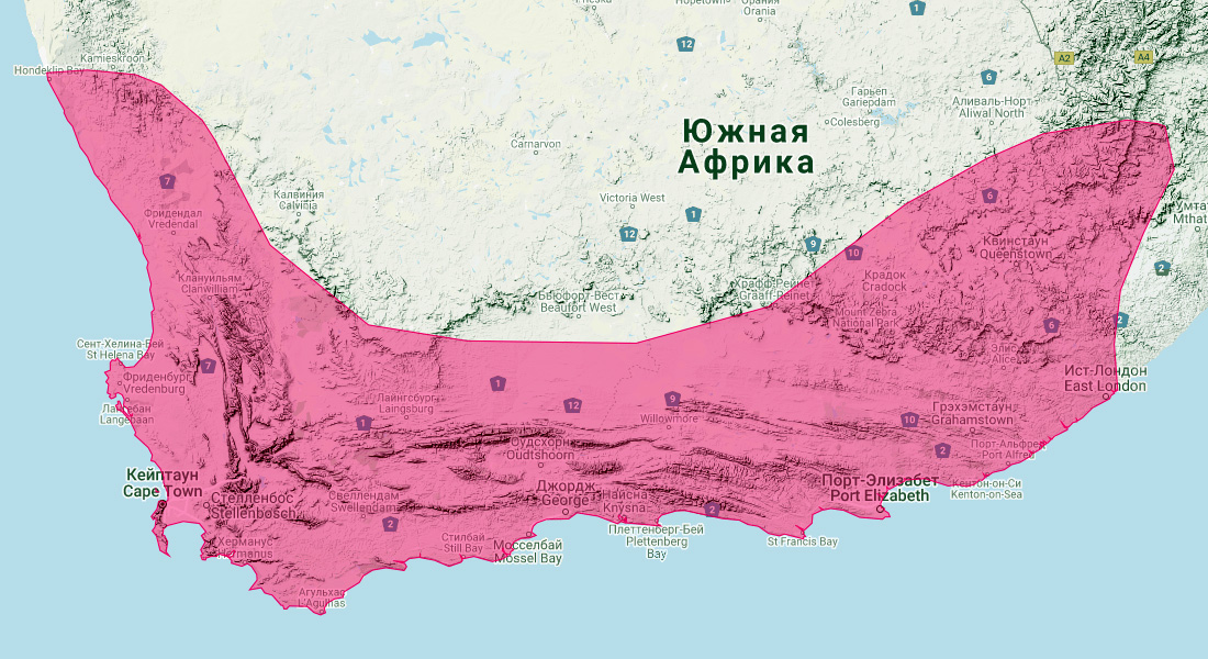 Южноафриканский подковонос (Rhinolophus capensis) Ареал обитания на карте
