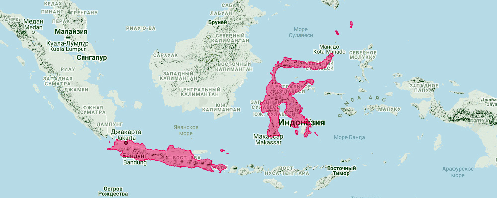 Мадурский подковонос (Rhinolophus celebensis) Ареал обитания на карте