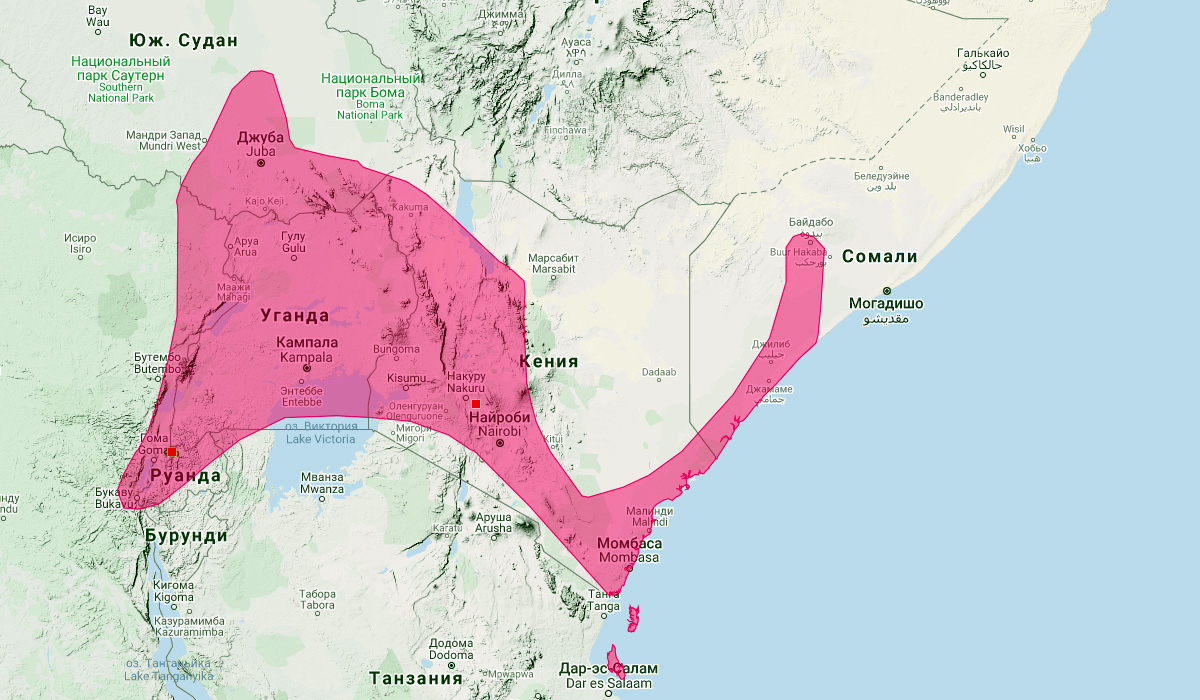Угандский подковонос (Rhinolophus eloquens) Ареал обитания на карте