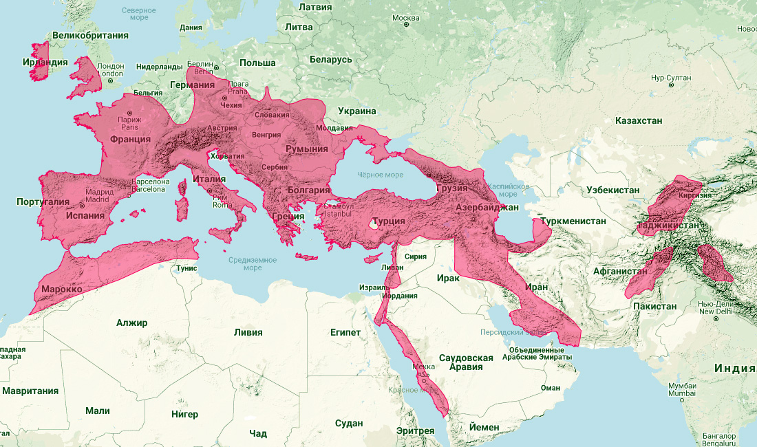 Малый подковонос (Rhinolophus hipposideros) Ареал обитания на карте