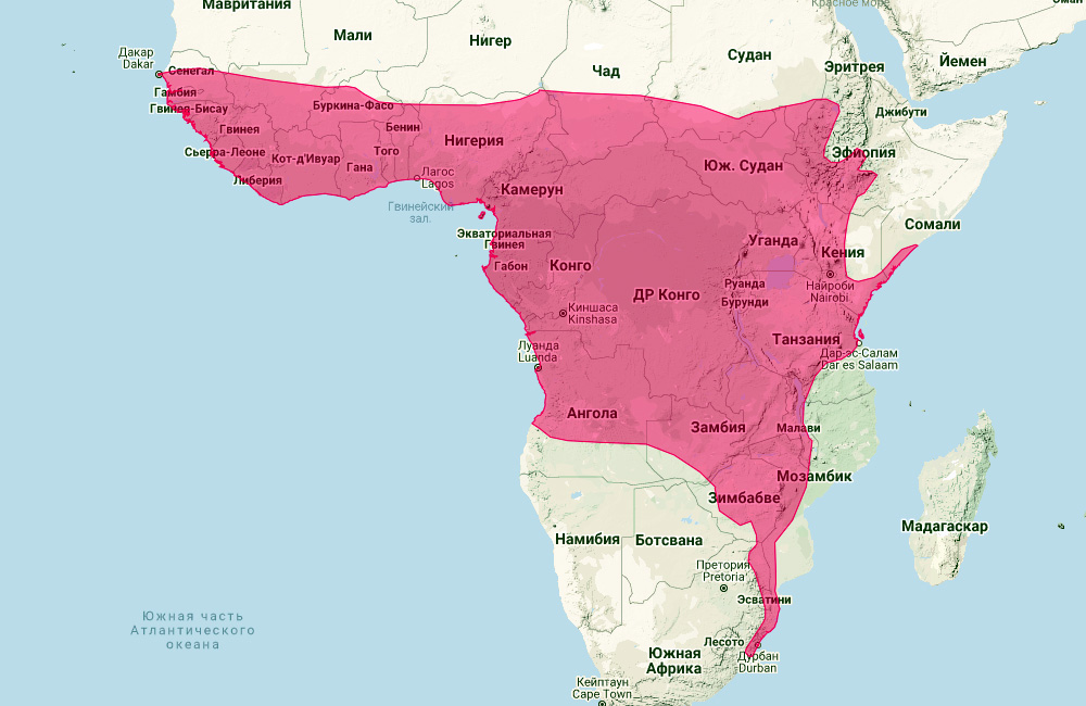 Подковонос Ландера (Rhinolophus landeri) Ареал обитания на карте