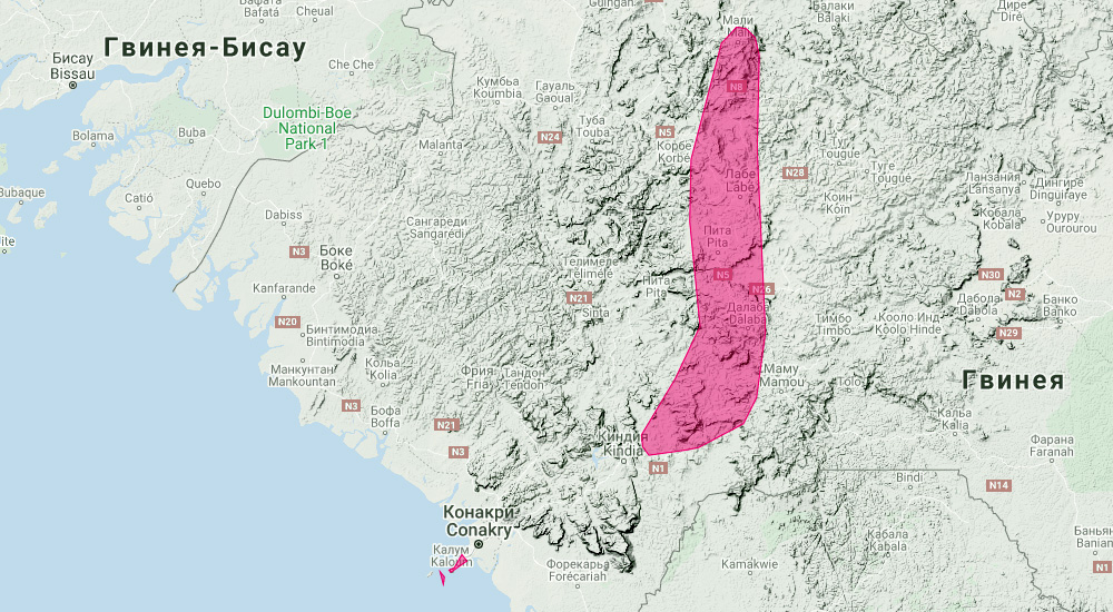Подковонос Маклауда (Rhinolophus maclaudi) Ареал обитания на карте
