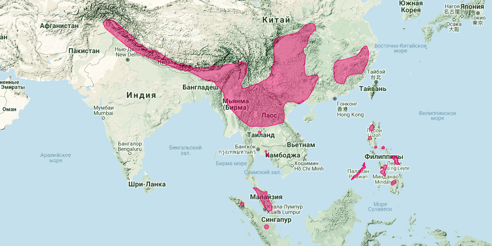Длинноухий подковонос (Rhinolophus macrotis) Ареал обитания на карте