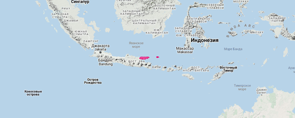 Madura Horseshoe Bat (Rhinolophus madurensis) Ареал обитания на карте