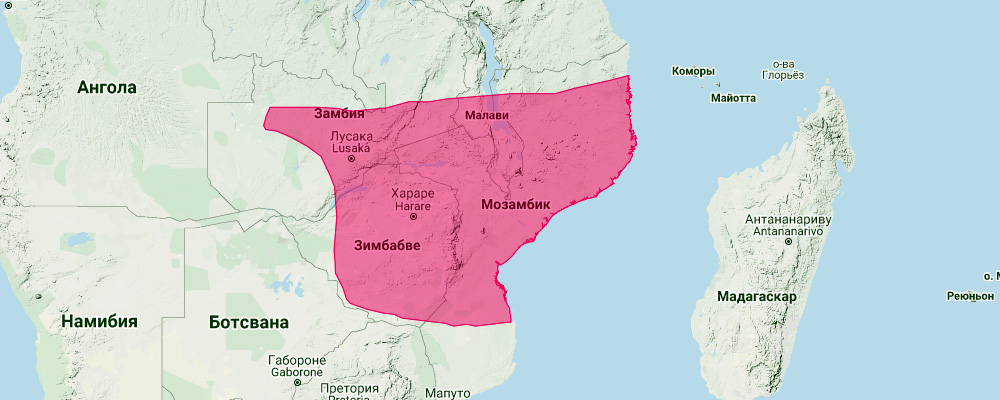 Mozambican Horseshoe Bat (Rhinolophus mossambicus) Ареал обитания на карте