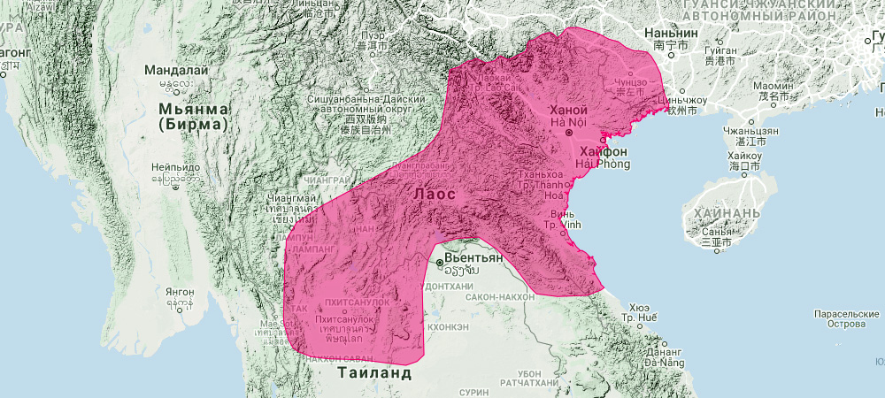 Большеухий подковонос (Rhinolophus paradoxolophus) Ареал обитания на карте