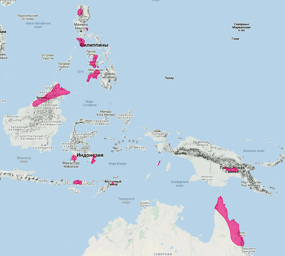 Филиппинский подковонос (Rhinolophus philippinensis) Ареал обитания на карте