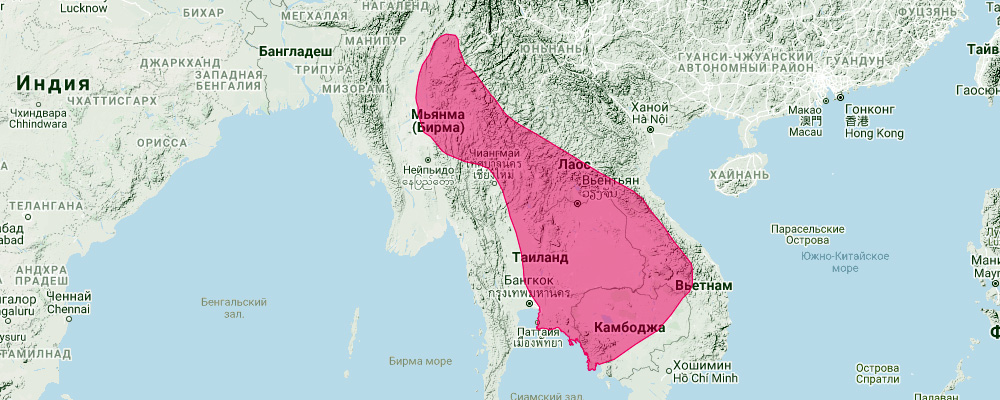 Shamel's Horseshoe Bat (Rhinolophus shameli) Ареал обитания на карте