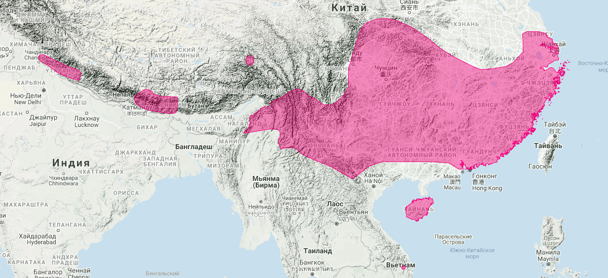 Chinese Rufous Horseshoe Bat (Rhinolophus sinicus) Ареал обитания на карте