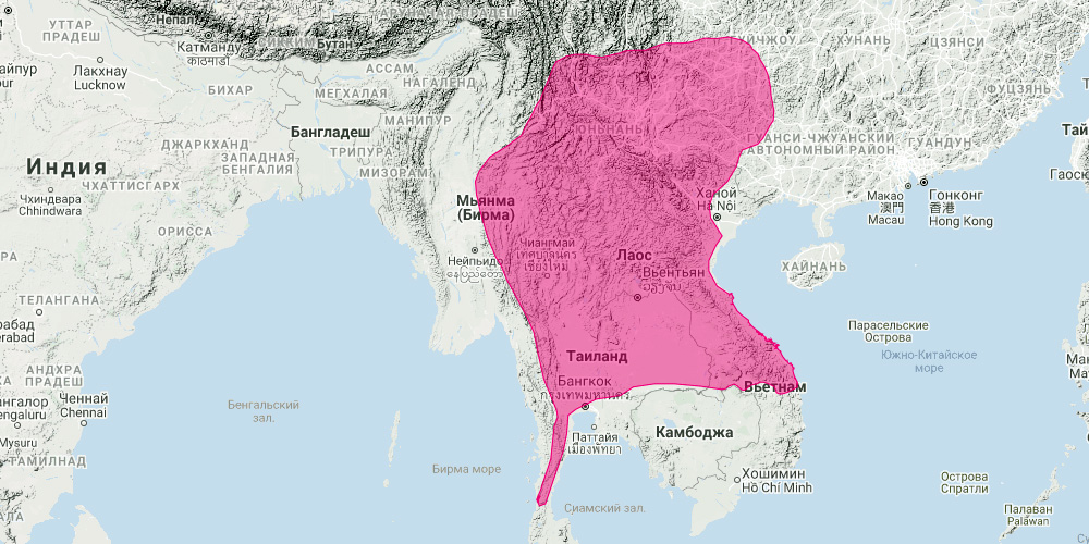 Подковонос Томаса (Rhinolophus thomasi) Ареал обитания на карте