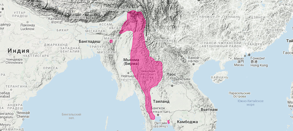 Юньнаньский подковонос (Rhinolophus yunanensis) Ареал обитания на карте