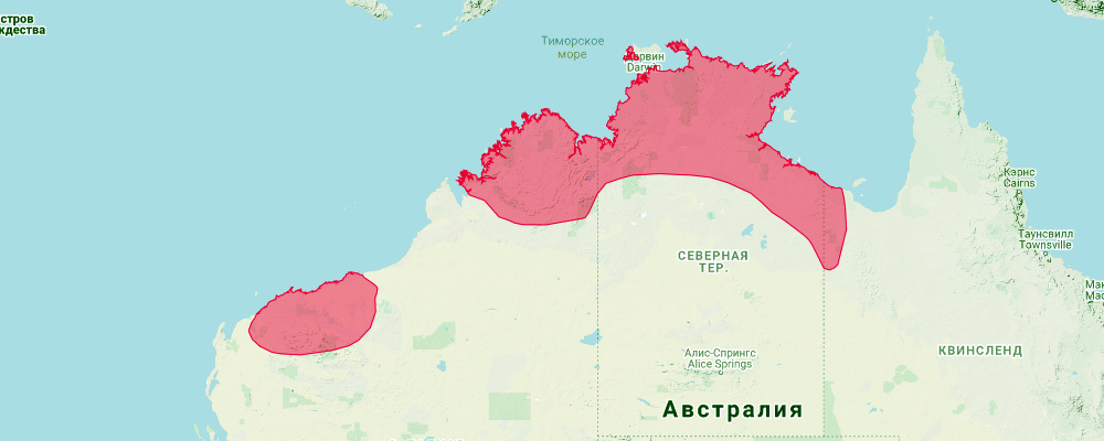 Золотистый листонос (Rhinonicteris aurantia) Ареал обитания на карте