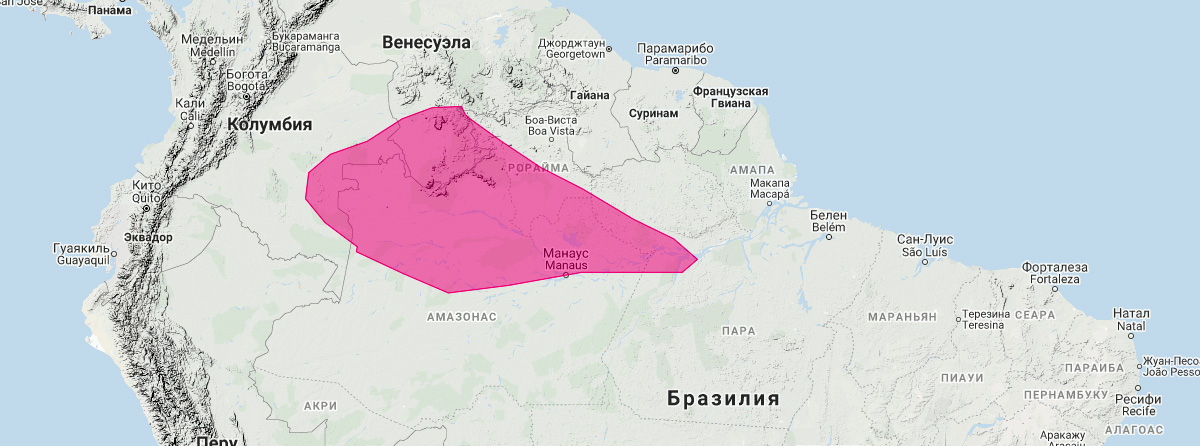 Склерониктерис (Scleronycteris ega) Ареал обитания на карте