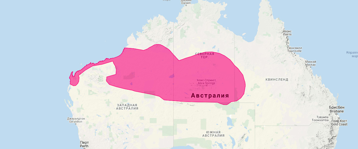Сумчатая мышь Янгсона (Sminthopsis youngsoni) Ареал обитания на карте