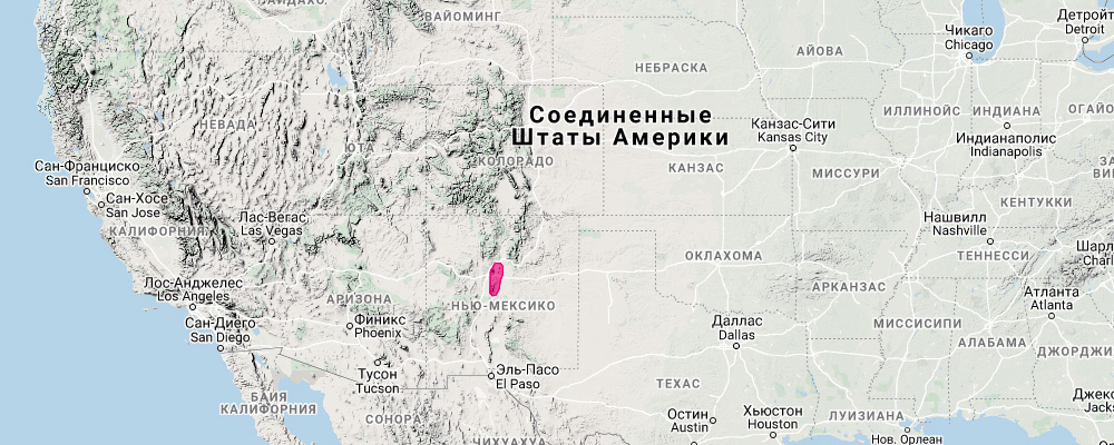 Manzano Mountain Cottontail (Sylvilagus cognatus) Ареал обитания на карте