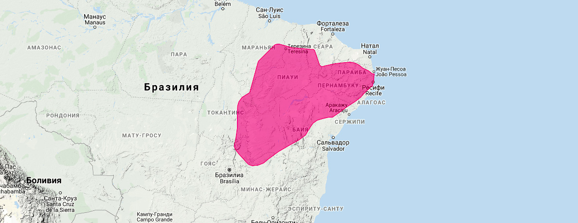 Трёхпоясный броненосец (Tolypeutes tricinctus) Ареал обитания на карте