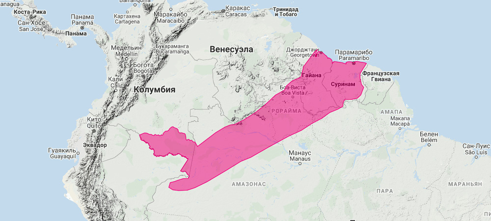 Гвианский желтоухий широконос (Vampyriscus brocki) Ареал обитания на карте